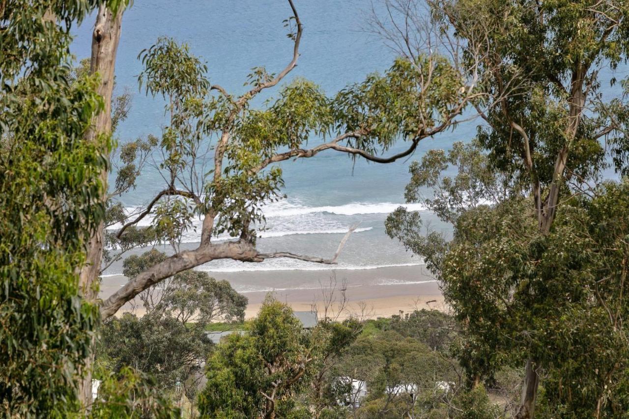 Villa Birdsong Wye River Exterior foto